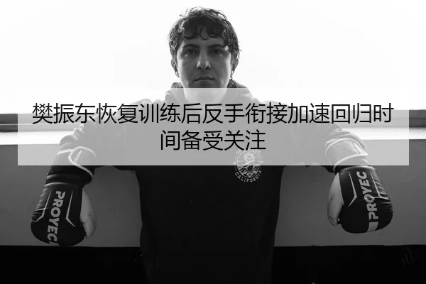 樊振东恢复训练后反手衔接加速回归时间备受关注（kaiyun.comapp）