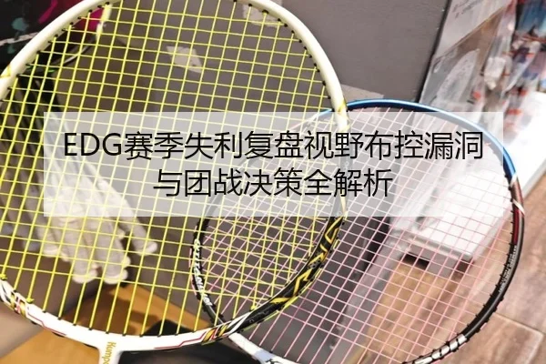 EDG赛季失利复盘视野布控漏洞与团战决策全解析（kaiyun.comapp）